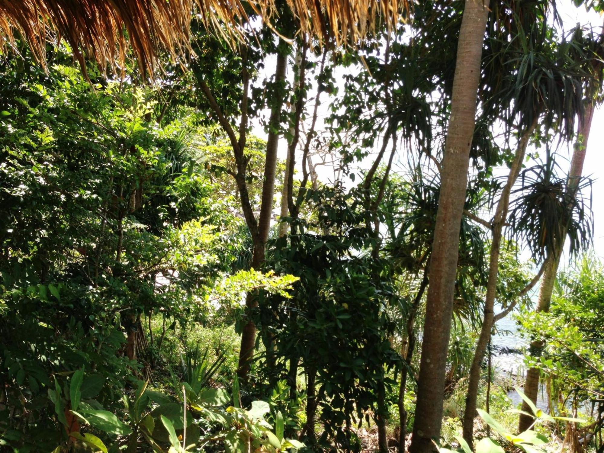 The Narima - Sha Plus Koh Lanta Exterior photo